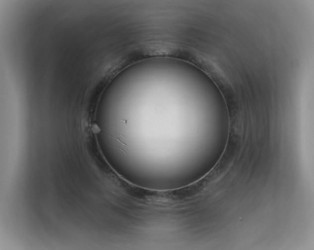 X0000111620743200907171244