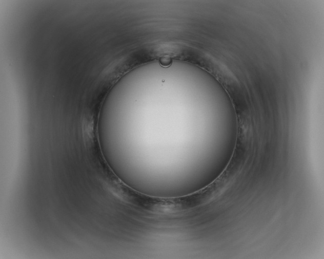X0000111620745200907171244