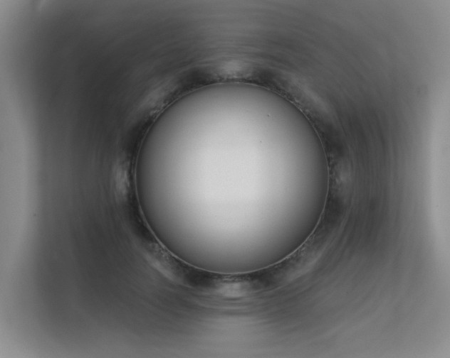X0000111620746200907171244