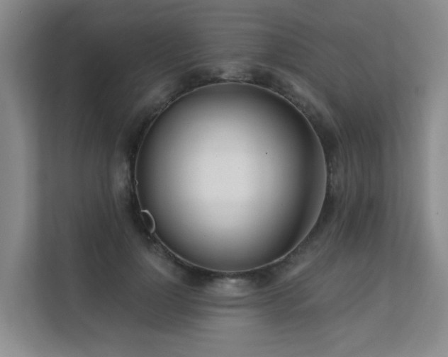 X0000111620748200907171244