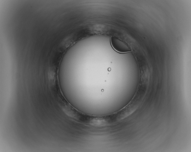 X0000111620749200907171244