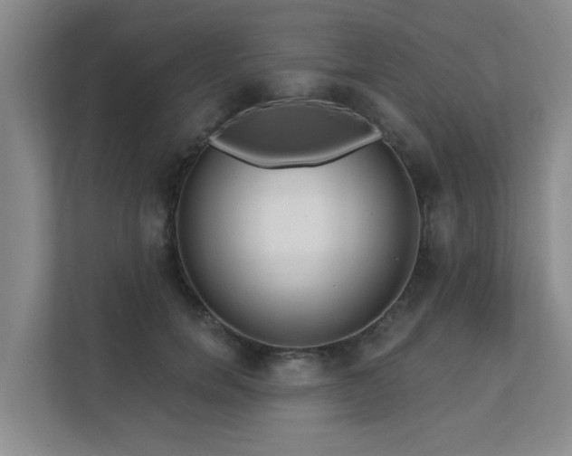 X0000111620750200907171244