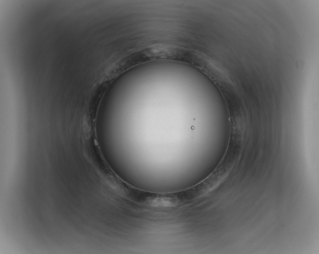 X0000111620751200907171244