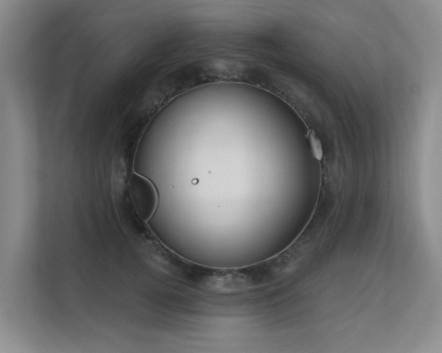 X0000111620752200907171244