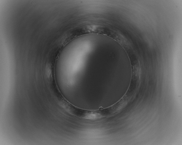 X0000111620754200907171244