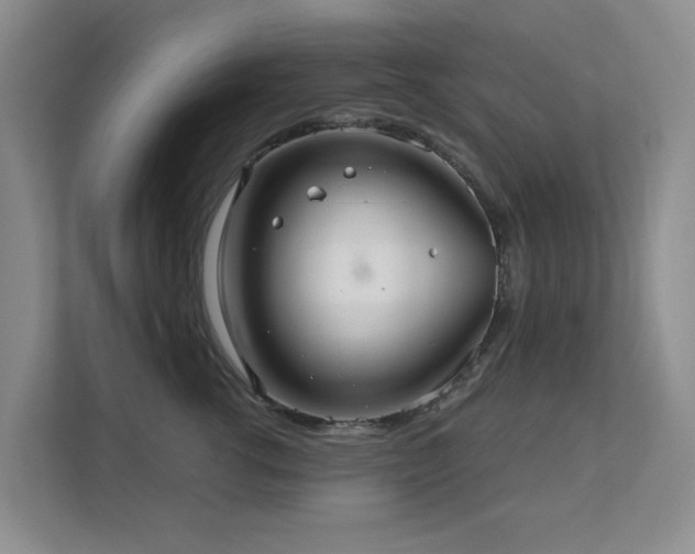 X0000111620762200907171244