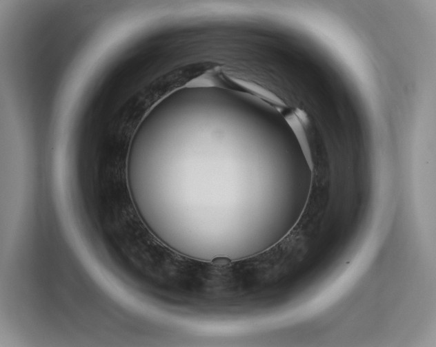 X0000111620766200907171244
