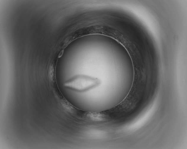 X0000111620767200907171244