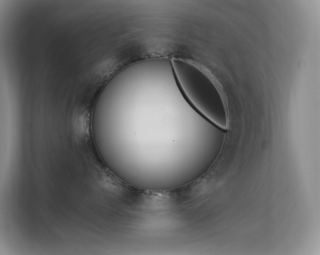 X0000111620768200907171244
