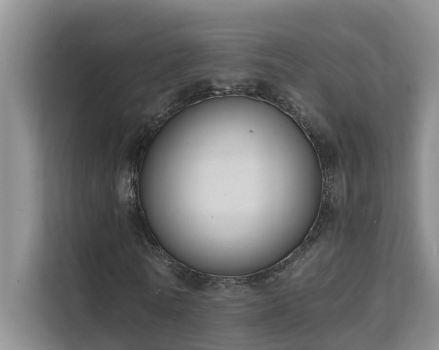 X0000111620770200907171243