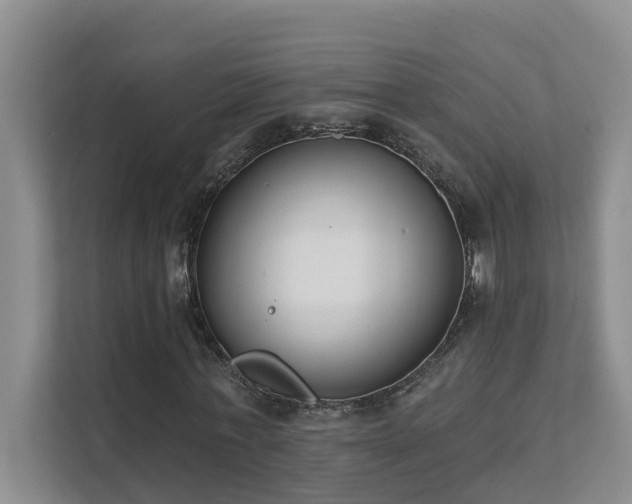 X0000111620771200907171243