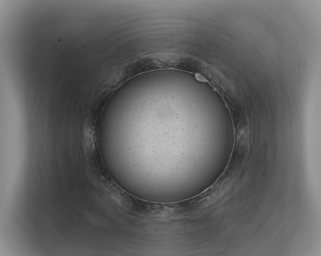 X0000111620772200907171243