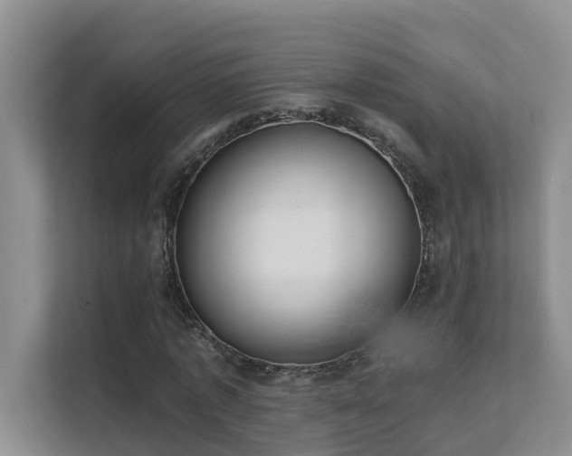 X0000111620773200907171243