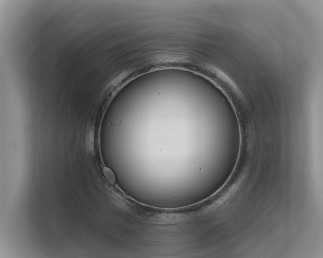 X0000111620777200907171243