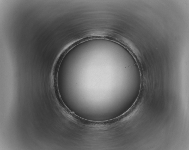 X0000111620779200907171243
