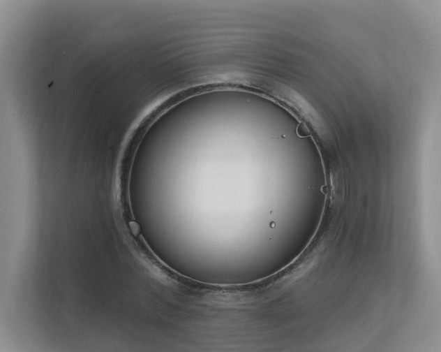 X0000111620780200907171243