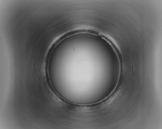X0000111620783200907171243