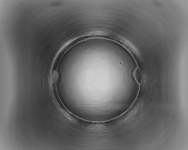 X0000111620784200907171243