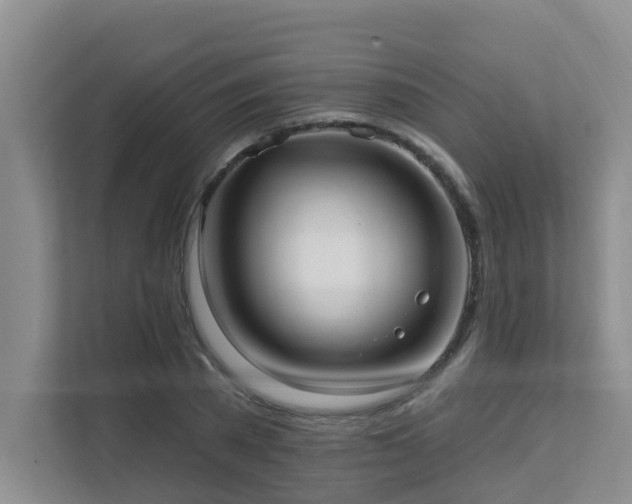 X0000111620785200907171243
