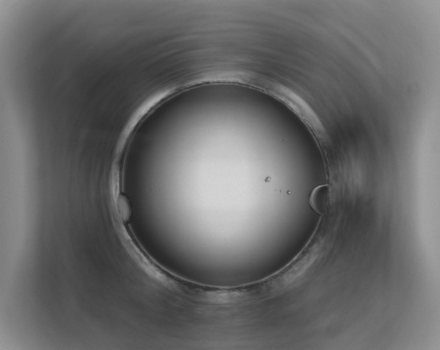X0000111620804200907171243