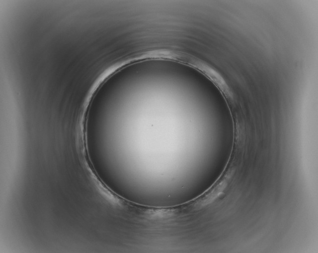 X0000111620808200907171243