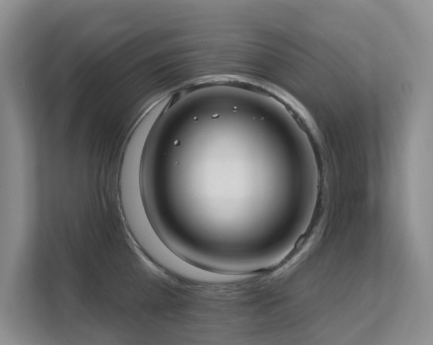 X0000111620809200907171243