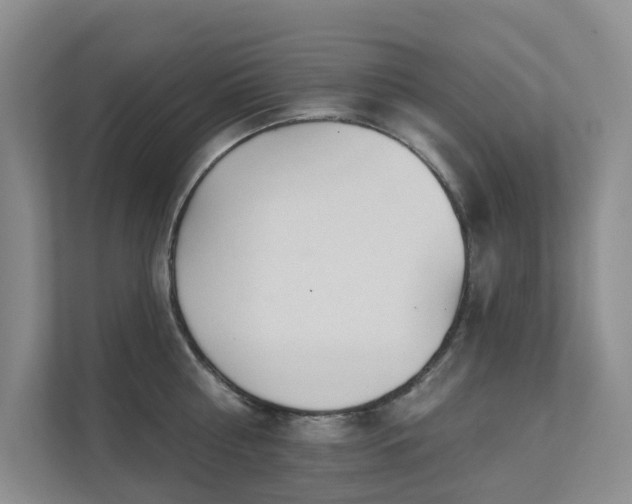 X0000111620810200907171243