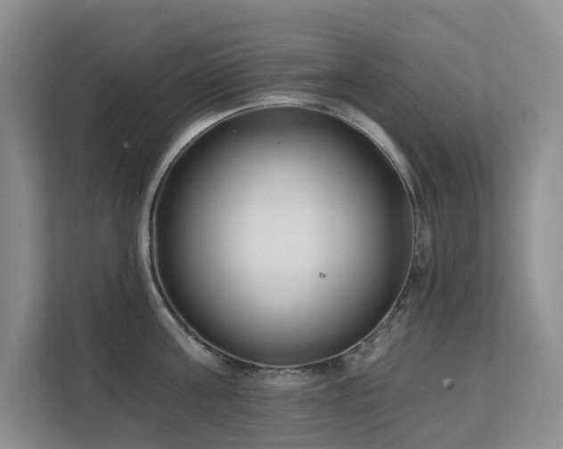 X0000111620811200907171243