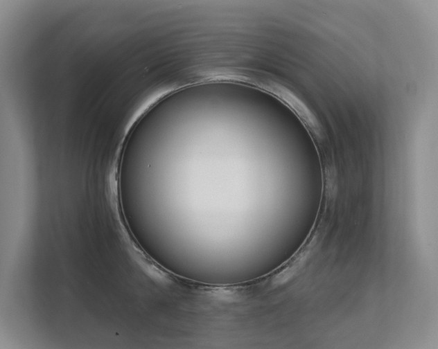 X0000111620814200907171243