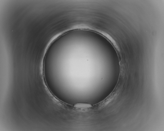X0000111620815200907171243