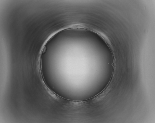 X0000111620816200907171243
