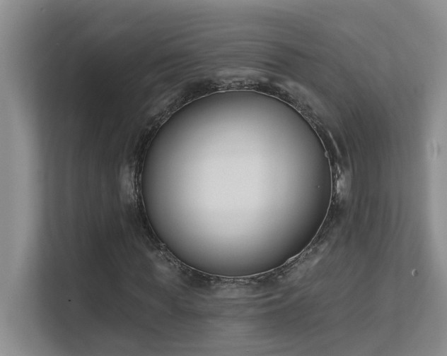 X0000111620819200907171242