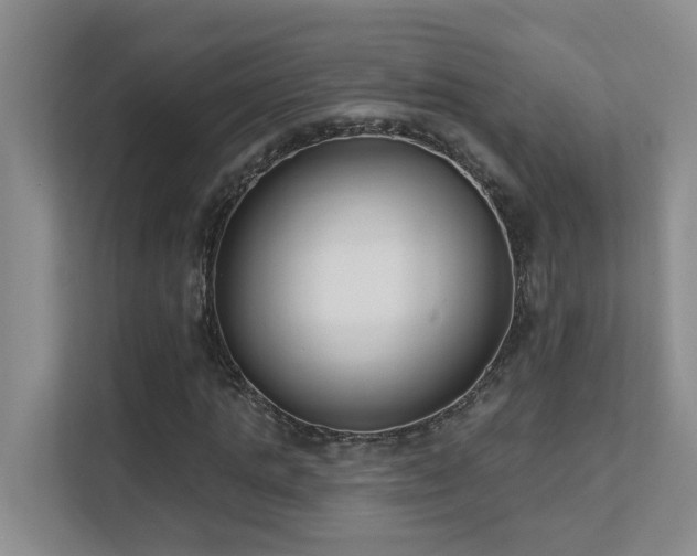 X0000111620821200907171242