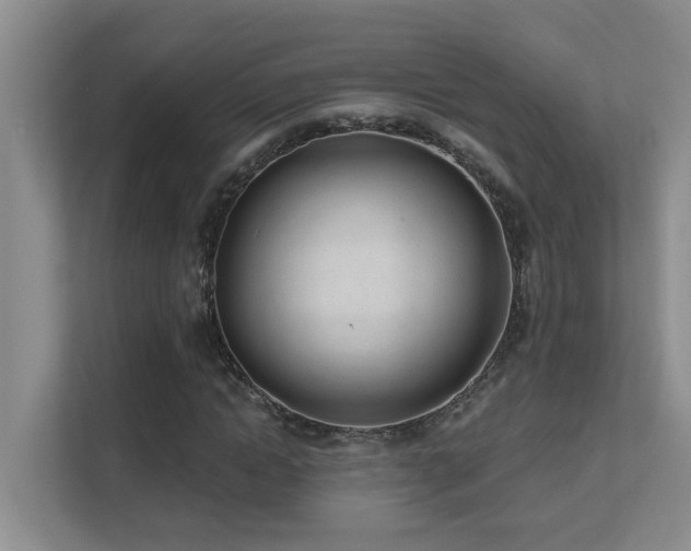 X0000111620822200907171242