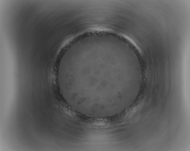 X0000111620823200907171242