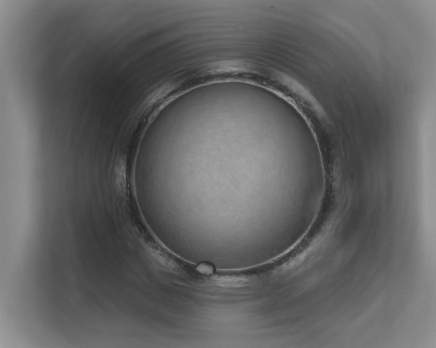 X0000111620825200907171242