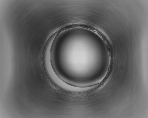 X0000111620826200907171242