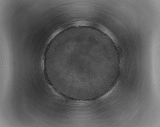 X0000111620829200907171242