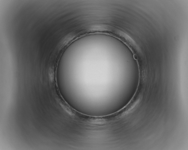 X0000111620833200907171242