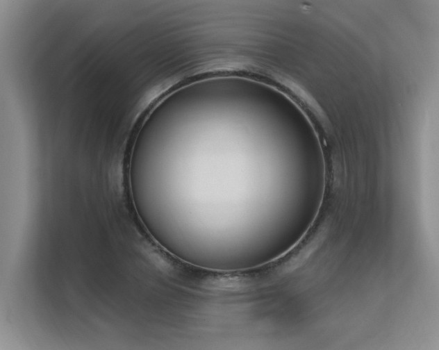 X0000111620834200907171242