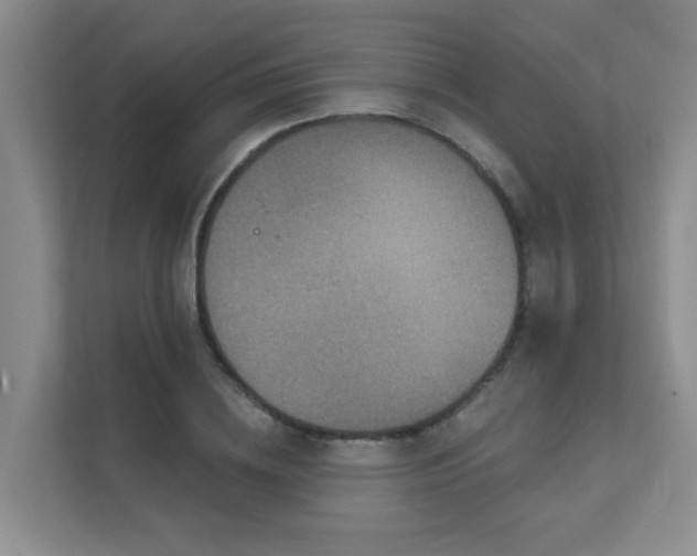 X0000111620836200907171242