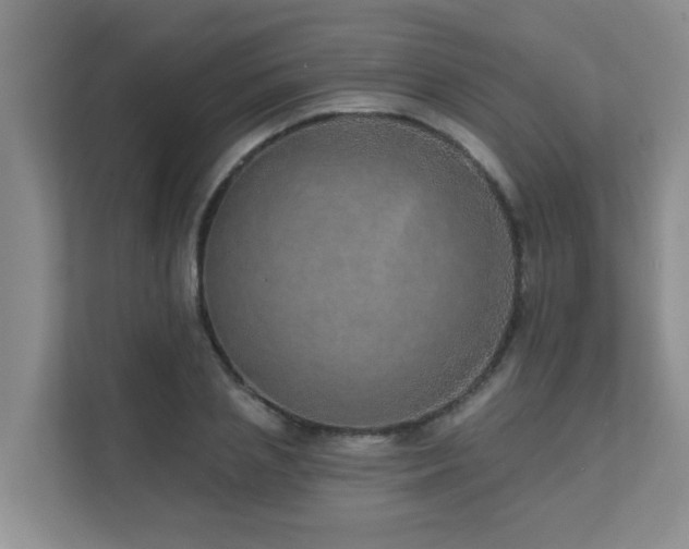 X0000111620837200907171242