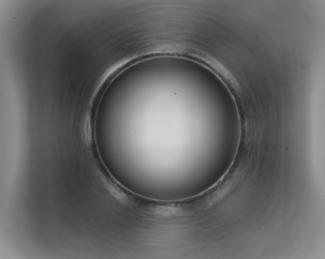 X0000111620838200907171242