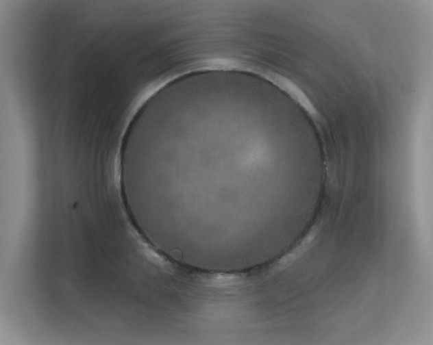 X0000111620839200907171242