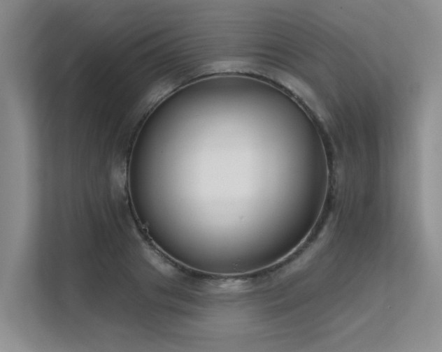 X0000111620841200907171242