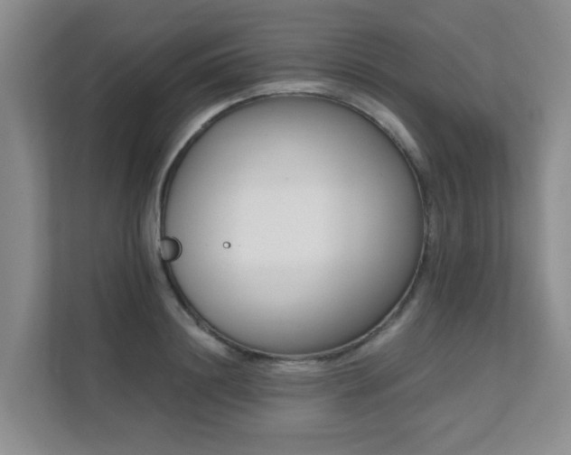 X0000111620844200907171242