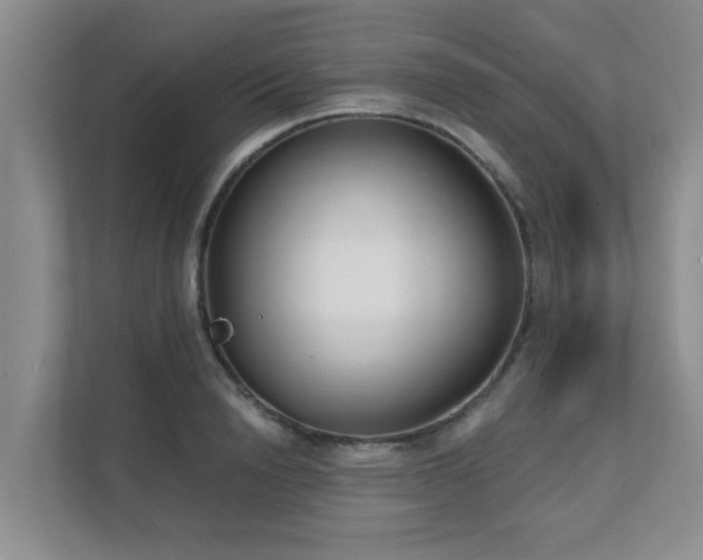 X0000111620846200907171242