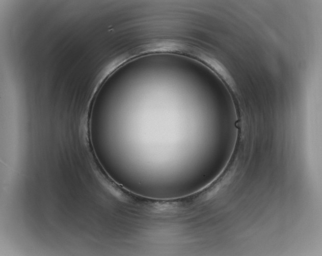 X0000111620850200907171242