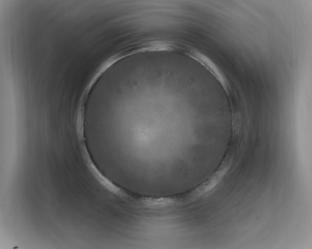 X0000111620851200907171242