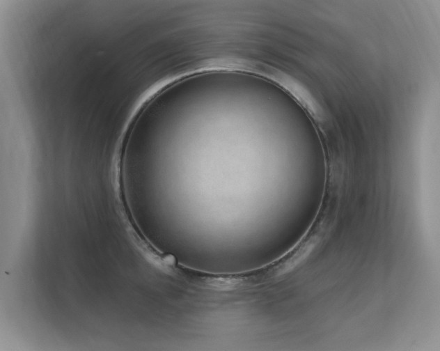 X0000111620854200907171242